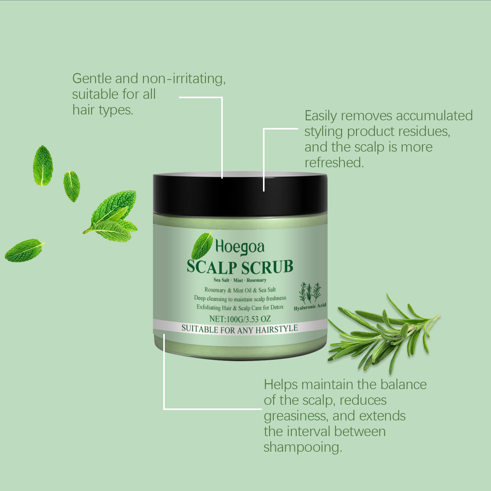 Rosemary Hair Care Scrub Cream - đánh giá và giá Scalp Scrub Exfoliant