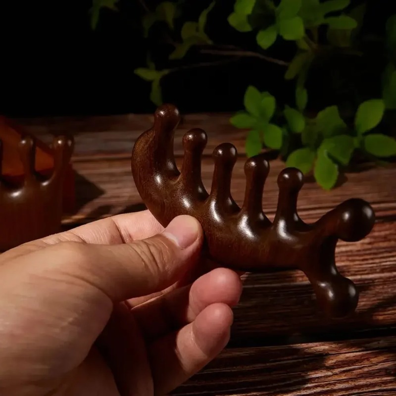Gua Sha Massage Comb Wide Toot - đánh giá và giá Detangling Wide Comb